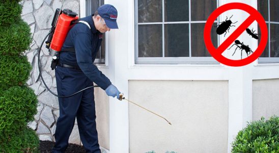 Toroslar Pire İlaçlama böcek ilaçlama ve haşere kontrolü — ilaclama-tr.com